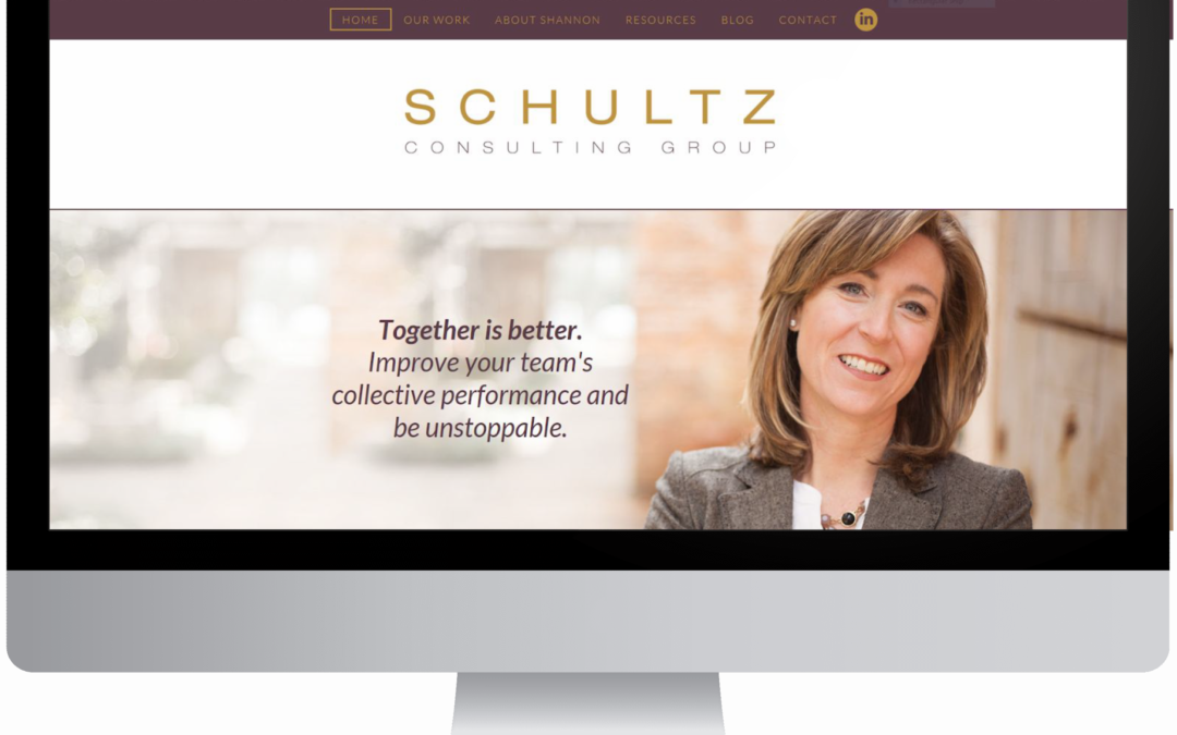 schultz consulting group
